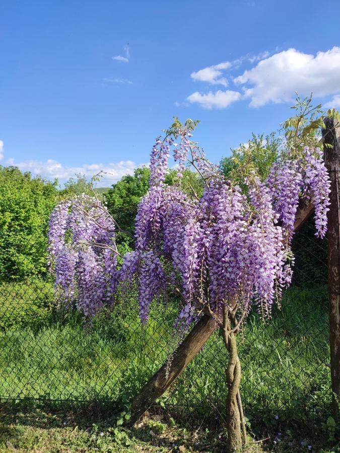 Podere Verdi Colline Poppi Kültér fotó