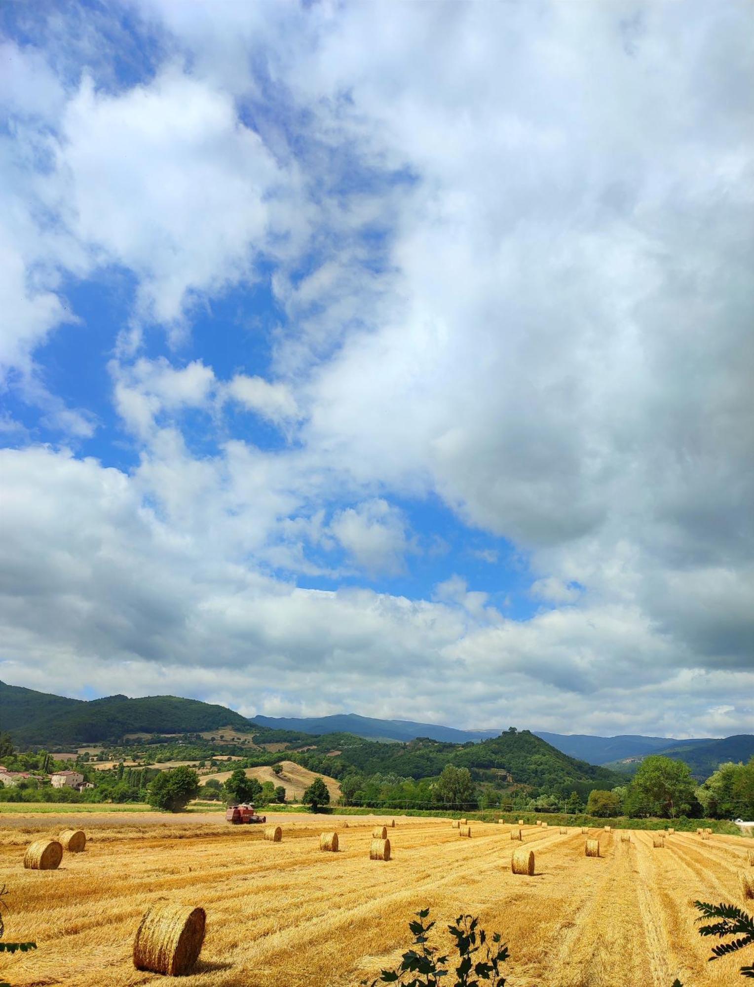 Podere Verdi Colline Poppi Kültér fotó